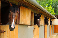 free Haslingbourne stable construction quotes